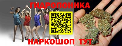 спиды Заволжье