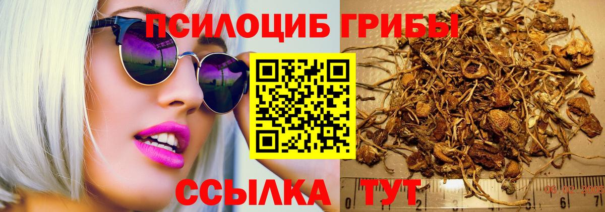 Галлюциногенные грибы Cubensis Кызыл